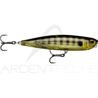 Surface lure RAPALA Precision xtreme pencil 107