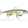Pesciolino STRIKE KING KVD Sexy dawg