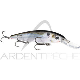 Pesciolino STRIKE KING KVD 300 Jerkbait