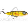 Pesciolino STRIKE KING KVD Sexy dawg jr