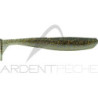 Soft lure BASS ASSASSIN Elite shiner 4