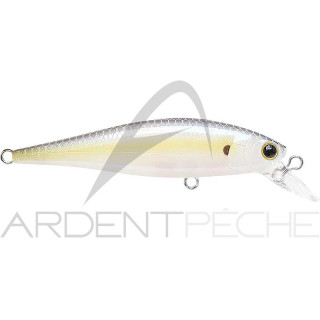 Pesce nageur LUCKY CRAFT B Freeze Pointer 65 SP