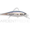 Pesce nageur LUCKY CRAFT B Freeze Pointer 65 SP
