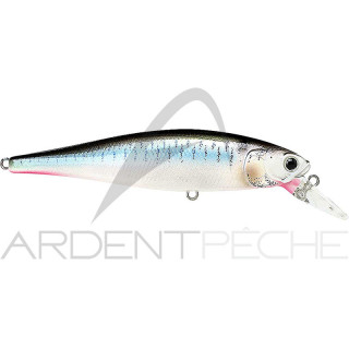 LUCKY CRAFT B Freeze Pointer 100 SP crankbait