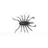 Soft bait ILLEX RV Bug 1.5