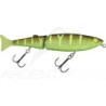 Swimbait ILLEX Freddy noisy 170 CW