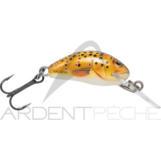 Pesce natante SALMO Hornet 2 S