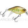 ILLEX Chubby 38 Crankbait