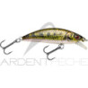 Pesce natante SAKURA Phoxy minnow HW 62 S