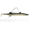 Soft lure DELALANDE Sea pike unrigged 14cm x1