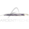 Soft bait FISH ARROW Flash J Shirasu 3