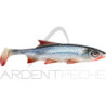 Soft lure BALZER Shirasu clone shad roach x1