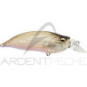 Poisson nageur MEGABASS IxI Shad LBO Type R