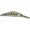 Hard lure SMITH D Direct 55