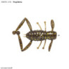 Testa galleggiante SMITH Hoptera arky