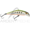 D-Contact 50 di Smith LTD - una calamita per le trote - Ardent Tecniche di pesca