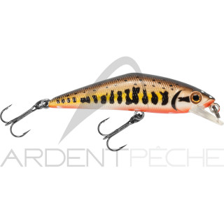 Smith LTD D-Contact 63 – a trout magnet - Ardent Pêche