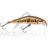 Smith LTD D-Contact 72 – a trout magnet - Ardent Pêche