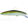 Pesce nageur SMITH F Select 51