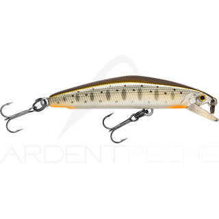 Pesce nageur SMITH F Select 51