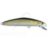 Pesce nuotatore SMITH F Select 64