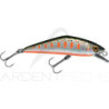 Smith LTD D-Contact 63 – a trout magnet - Ardent Pêche