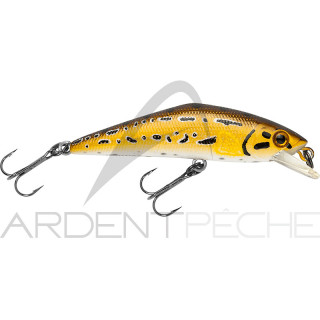 Poisson nageur SMITH D Contact 63