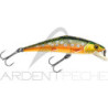 Poisson nageur SMITH D Contact 63
