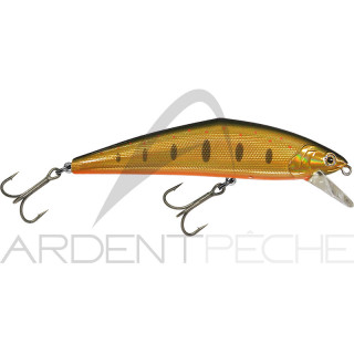 Poisson nageur SMITH D Contact 110