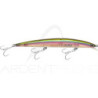 Pesce nuotatore SMITH Haluca 145 F