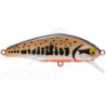 Pesce nuotatore SMITH D Incite 53