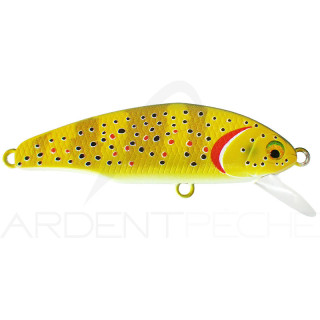 Pesce nuotatore SMITH D Incite 53