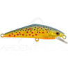 Smith LTD D-Contact 72 – a trout magnet - Ardent Pêche