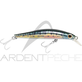 Pesciolino artificiale JACKSON Artist FR70