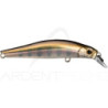 Pesce nuotatore JACKSON Artist FR55