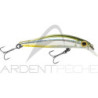 Minnow JACKSON Artist FR55