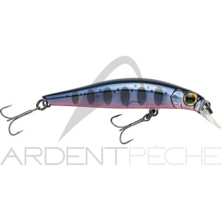 Pesce nuotatore JACKSON Artist FR55