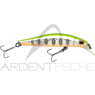 Pesce nuotatore JACKSON Artist FR55