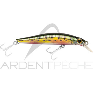 Pesce artificiale JACKSON Artist FR80
