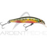 Pesce nuotatore JACKSON Artist FR55