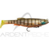 Esca morbida MEGABASS Mag Draft 6