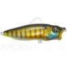 Lure MEGABASS Pop max