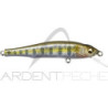 Pesciolino MEGABASS Great hunt 70 flatside