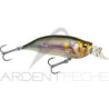 Pesciolino MEGABASS IxI Shad LBO Type R