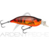 Pesciolino MEGABASS IxI Shad LBO Type R