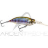 Pesciolino MEGABASS IxI Shad LBO Type 3