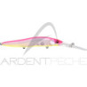 Pesciolino MEGABASS Vision 110 R+3