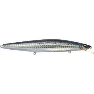 Pesce nageur MEGABASS Marine gang cookai 140 S