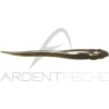 Soft bait MEGABASS Hazedong 4