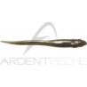 Soft bait MEGABASS Hazedong 5